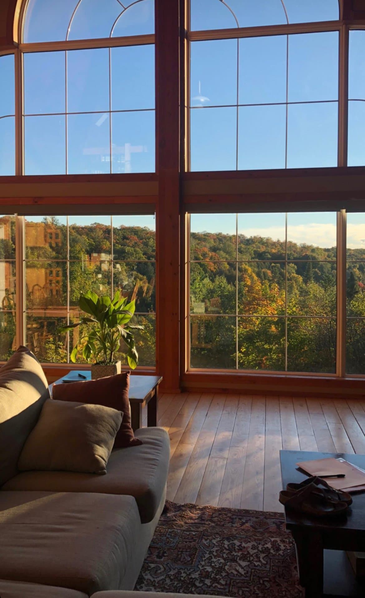 Floor-to-ceiling windows overlooking the forest