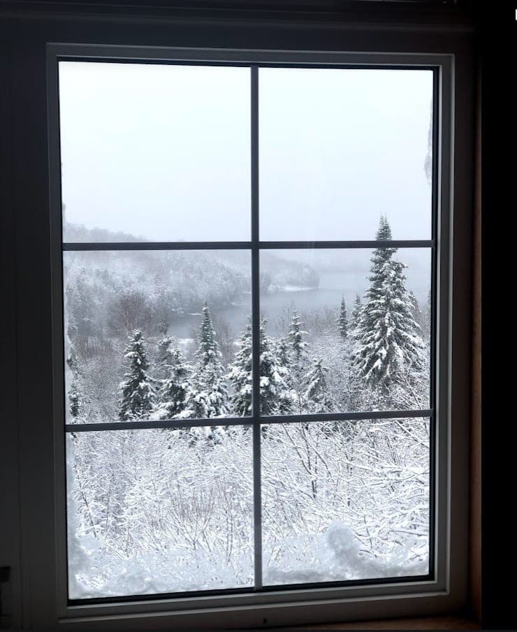 Snowy forest seen through a bedroom window