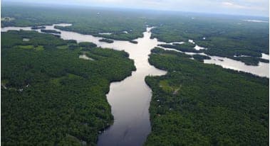 Aerial view of the river winding through the forest