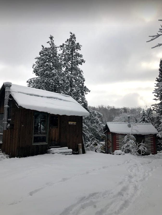Bunkies in the snow