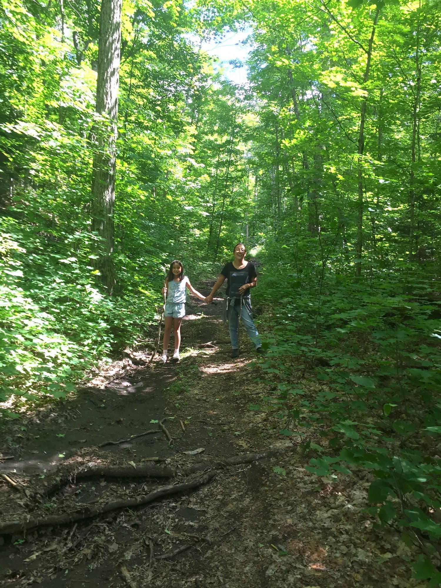 Hiking trail through the woods