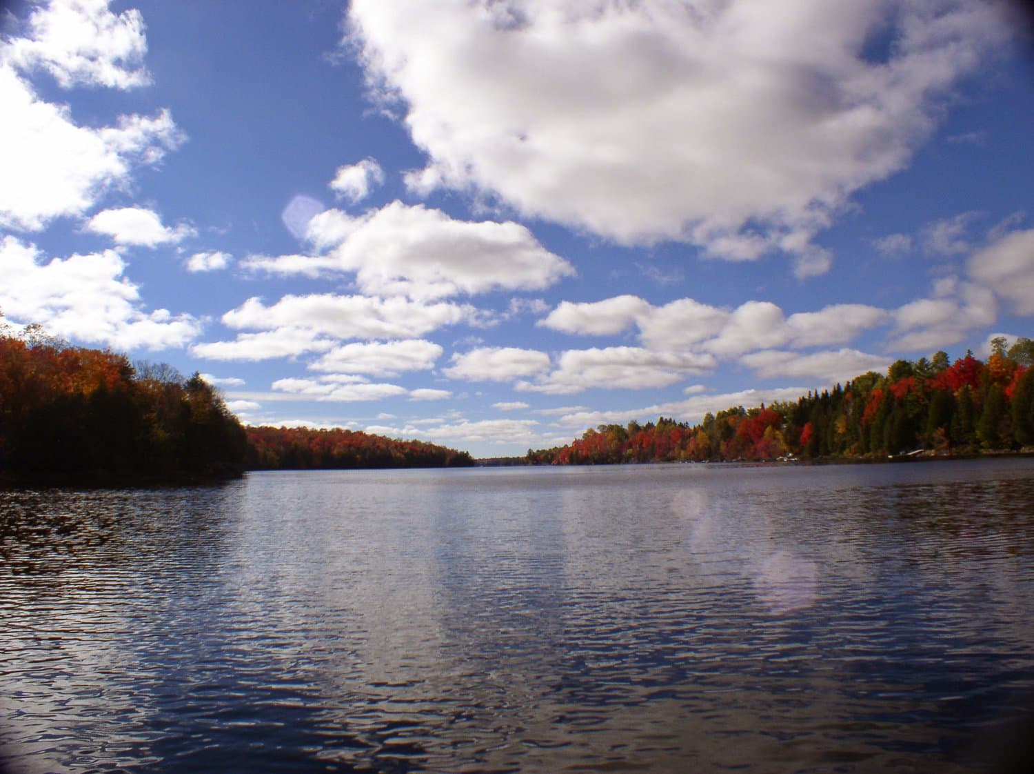 Waterfront gallery: Whitestone Lake under a blue sky