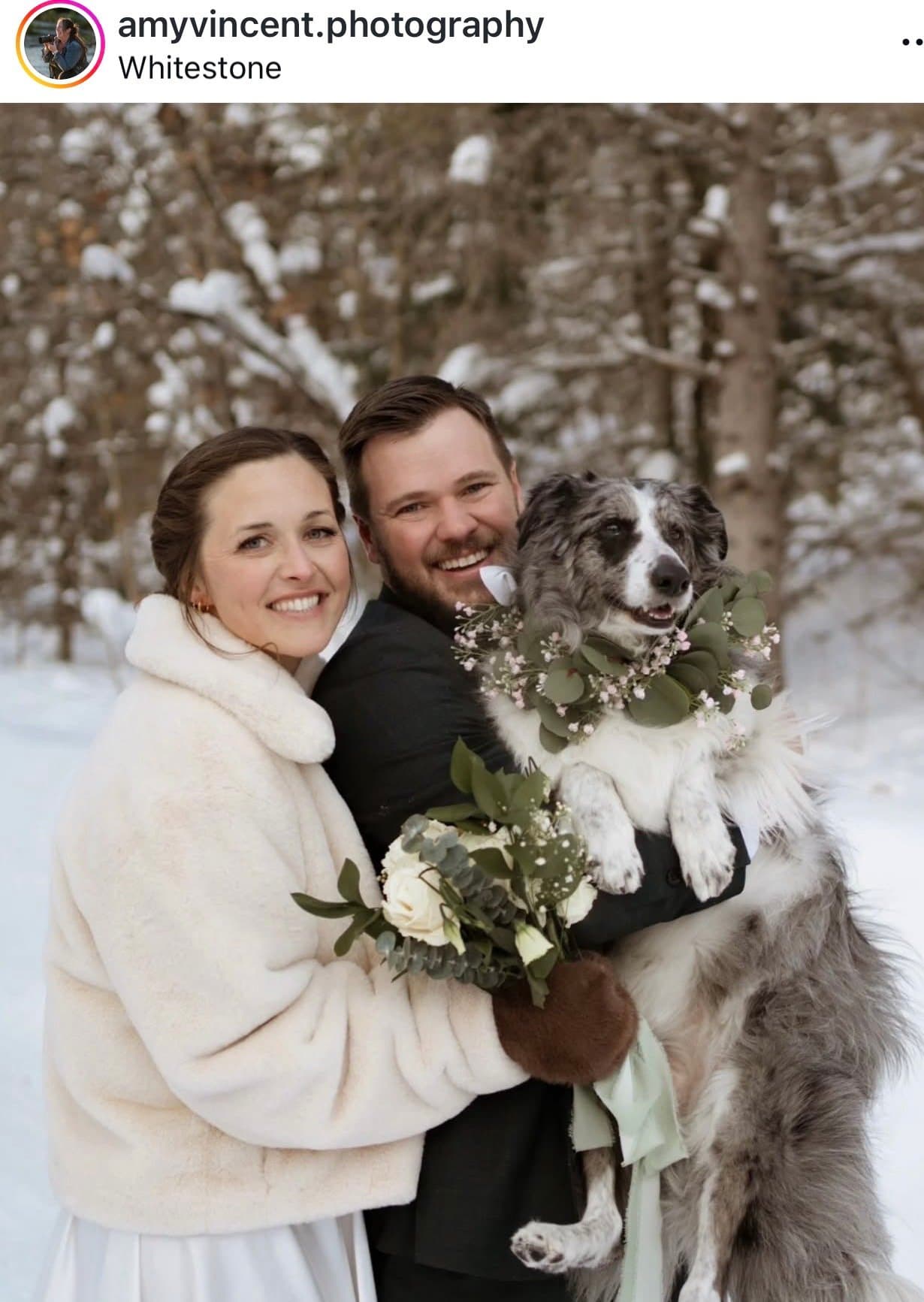 Winter couple with their dog